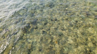 Kızıl deniz sinai yarımadasında sığ su.