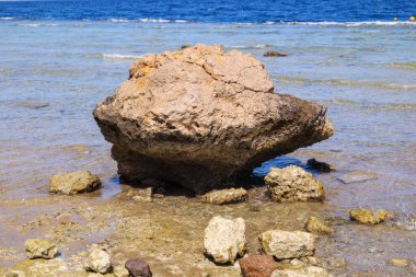 Kızıl denizde kumlu bir sahilde deniz sörfü. dalga yakın çekim.