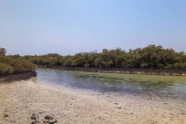 Gravar Egypten Ras Mohammed National Park — Stockfoto