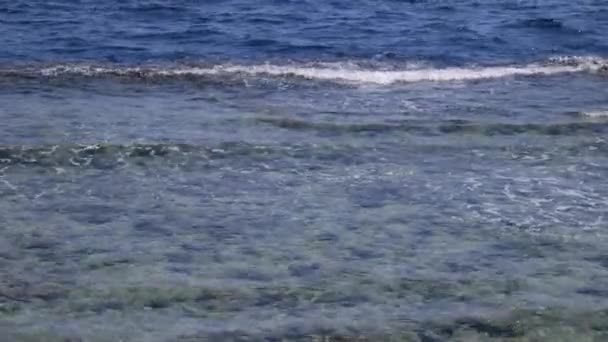 Хвилястий Морський Пляж Макро Крупним Планом — стокове відео