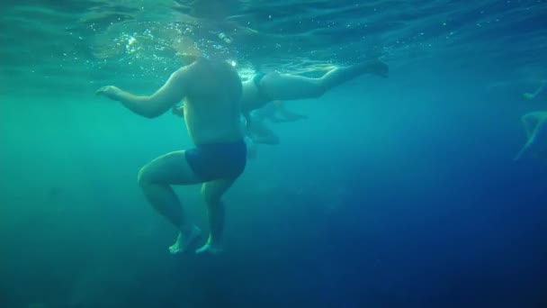 Sharm El Sheikh, Egypten Oktober 2021. turister på havsytan simma i det röda havet — Stockvideo