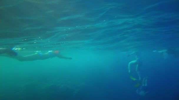 Sharm El Sheikh, Egyiptom Október 2021. turisták a tenger felszínén úszni a vörös tengerben — Stock videók