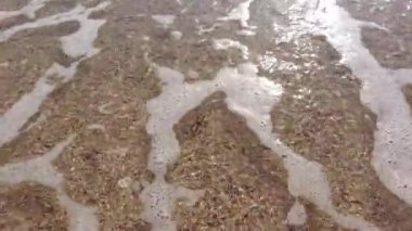 Dalgalar deniz plajı makrosu, kapatın.