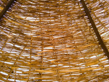 Güneşli bir günde kamış plajı şemsiyesi yakın çekim.