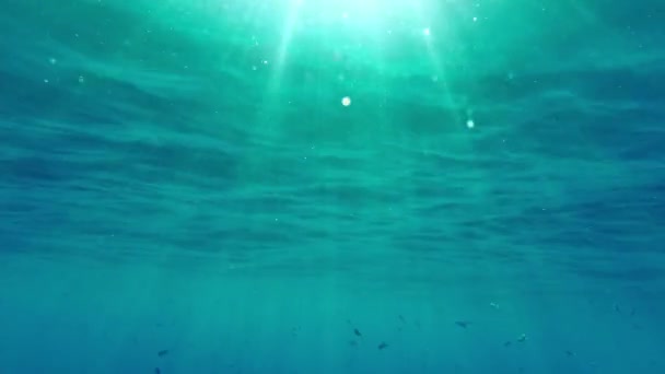 Raggi di sole nell'acqua blu del mare — Video Stock