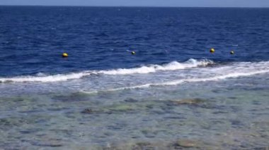 Dalgalar deniz plajı makrosu, kapatın.