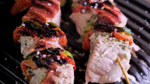 Shish kebab on an electric grill close-up. barbecue grill — Stock Video