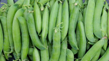 Yeşil bezelyeler. olgun bezelye kabukları üst görünüm.