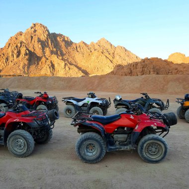 ATV safarisi. Mısır 'a gezintiler. Sharm el Sheikh 'te çölde turist bisikleti..