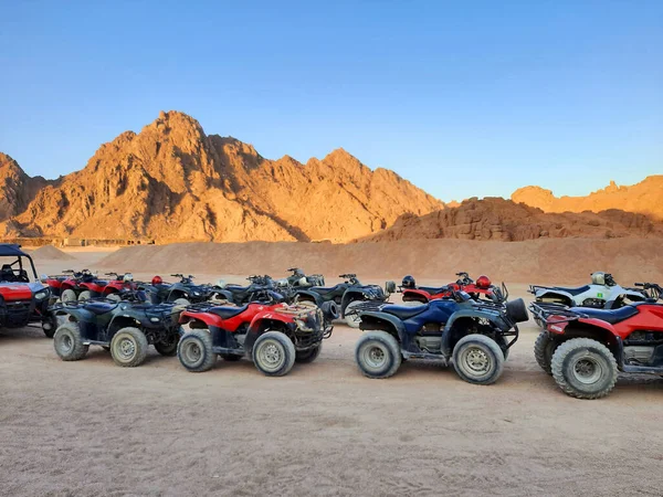 ATV safarisi. Mısır 'a gezintiler. Sharm el Sheikh 'te çölde turist bisikleti..