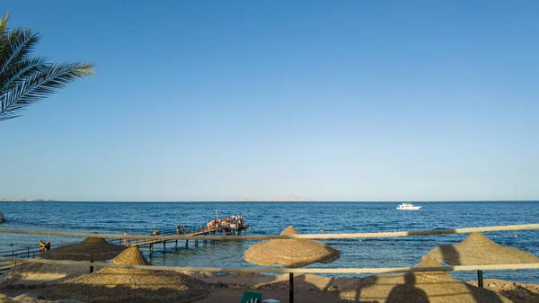 Понтон Коралу Червоному Морі Єгипет — стокове фото