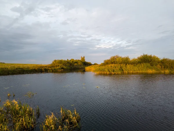 秋の湖 秋の大成長した沼の眺め — ストック写真