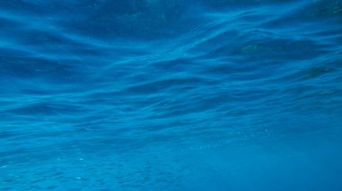 Sudan gelen deniz yüzeyi. Kızıl deniz dalgaları yakın çekim.