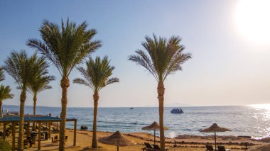 Sharm El Sheikh, Mısır, Sina Kızıldeniz Sahili.