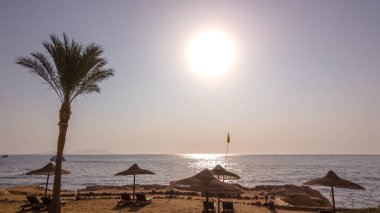 Sharm El Sheikh, Mısır, Sina Kızıldeniz Sahili.