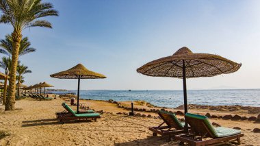 Sharm El Sheikh, Mısır, Sina Kızıldeniz Sahili.