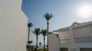 Şeyh Sharm. Mısır Eylül 2021. Beş yıldızlı güzel bir otelin manzarası. Rönesans Sharm El Sheikh Golden View Beach Resort