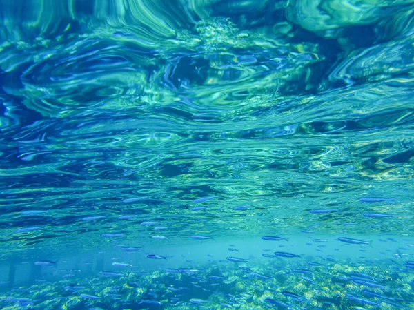 Superficie Del Mar Del Agua Olas Rojas Del Mar Primer — Foto de Stock