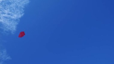 Gül yaprakları mavi gökyüzüne karşı rüzgarda uçar. Yavaş çekim