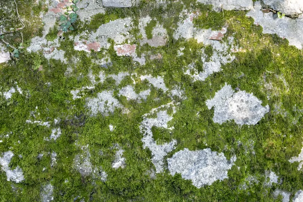 Fragmento Paredes Alvenaria Feitas Pedra Entulho Coberto Com Grama — Fotografia de Stock