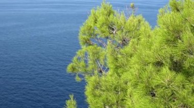 Deniz mavi yüzeyinde ripples