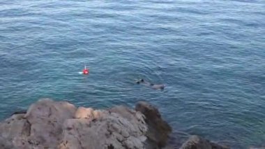 Maskeli ve şnorkeli olan balıkçı deniz yüzeyinden balık avlamak için dalmaya başlar.