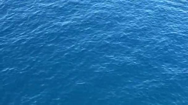 Рябь Синей Поверхности Моря — стоковое видео