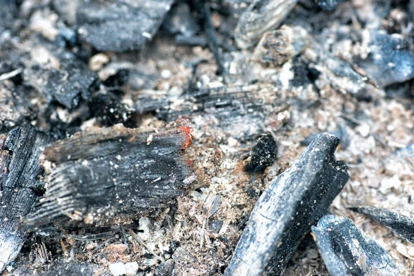 Varmt Kol Grillen Kvar Efter Matlagning Kött Grillen — Stockfoto