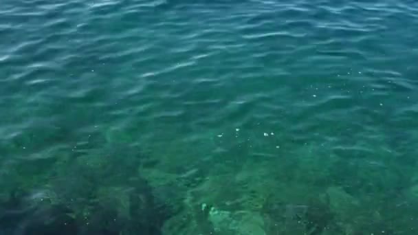 Morbide Onde Del Mare Fanno Surf Una Spiaggia Rocciosa — Video Stock