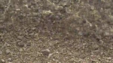 Kayalık sahilde yumuşak dalgalar sörf yapar