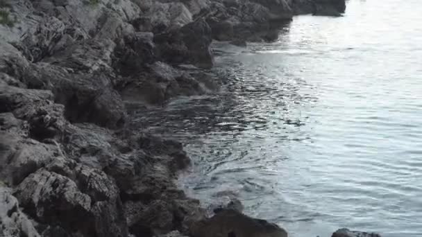 Morbide Onde Del Mare Fanno Surf Una Spiaggia Rocciosa — Video Stock