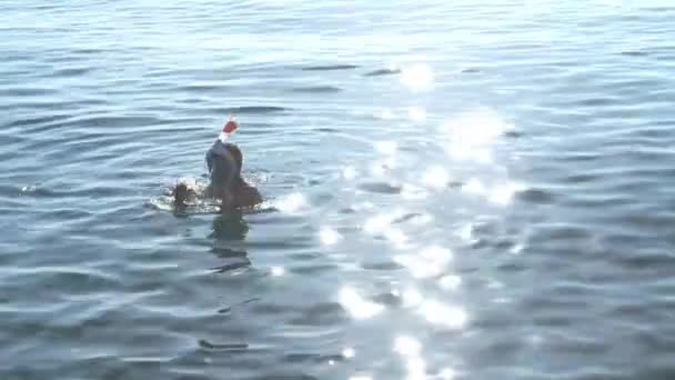 Fiatal Lány Úszik Tengerben Egy Napos Nyári Napon — Stock videók