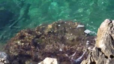 Kayalık sahilde yumuşak dalgalar sörf yapar