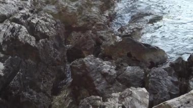 Kayalık sahilde yumuşak dalgalar sörf yapar