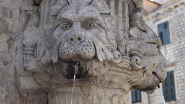 Oude stenen fontein met leeuwenkop en helder water — Stockvideo