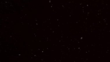 Kara gökyüzüne düşen gerçekçi kar arkaplanı