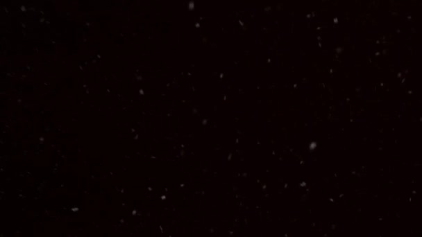 Realistica Neve Caduta Sfondo Cielo Nero — Video Stock