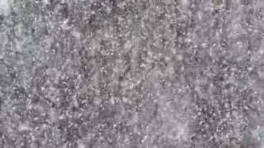 Bulanık ağaçların arkasına düşen gerçekçi kar. yakın plan