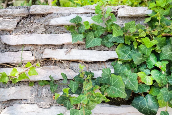 Pozadí Položení Přírodního Kamene Bílé Barvy — Stock fotografie