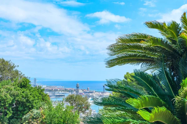 Una Vista Del Puerto Barcelona Desde Montjuic Cataluña España — Foto de Stock