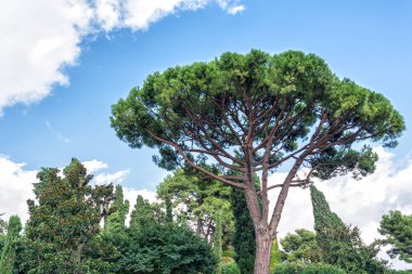 Jardines de Santa Clotilde in Lloret de Mar, Costa Brava, Katalonya, İspanya.