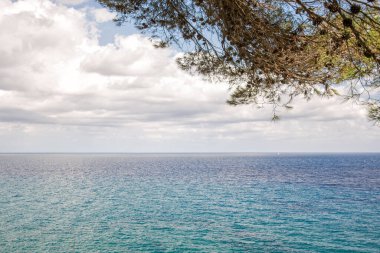 Çam ağacının yeşil dallarından geçen deniz. Lloret de Mar, Costa Brava, Katalonya, İspanya.