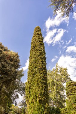 Jardines de Santa Clotilde in Lloret de Mar, Costa Brava, Katalonya, İspanya.