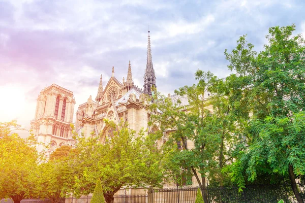 Paris Notre Dame Μητρόπολη Στο Παρίσι — Φωτογραφία Αρχείου