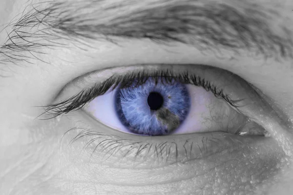 Det Gennemtrængende Mandlige Blik Blå Øjne Med Grå Pletter - Stock-foto # 