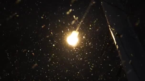 Fallande Snö Bakgrunden Lykta Vintern Närbild — Stockvideo