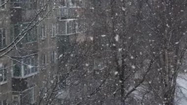 Bahçede kar yağışı var evlerin arka planında ağır çekim