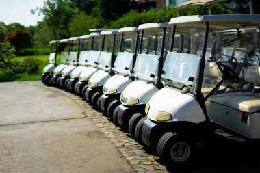 Golf arabaları sabahları golf sahasında diziliyorlar.