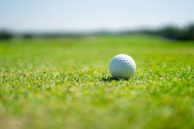 Golf sporu sosyal seçkinlerin açık hava sahalarında oynandı.