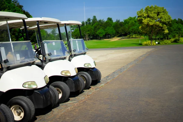 Golf arabaları sabahları golf sahasında diziliyorlar.